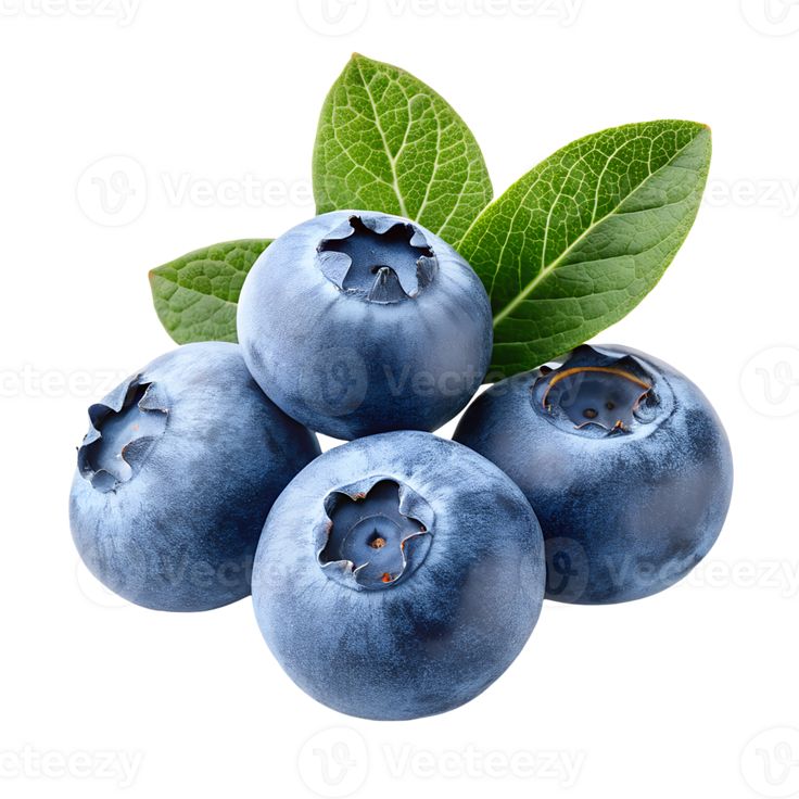 Selai Blueberry