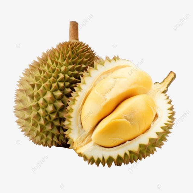 Selai Durian
